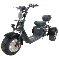 Электроскутер трехколесный CITYCOCO GT X11 PRO TRIKE 2024 Карбон