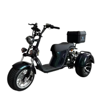  Электроскутер Skyboard MyRussia 3000W LiFePo4