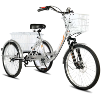 Электровелосипед РВЗ Чемпион 250W 10Ah серебро складной