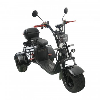 Электроскутер CityCoco SkyBoard Trike BR40-3000 PRO