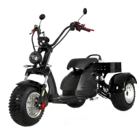 Электроскутер YASMAND M6 PRO Trike