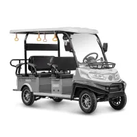 Гольф-кар мини Gelbert Venus 60V 1200Вт 